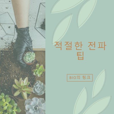 단순히 육즙이 많은 green organic-simple