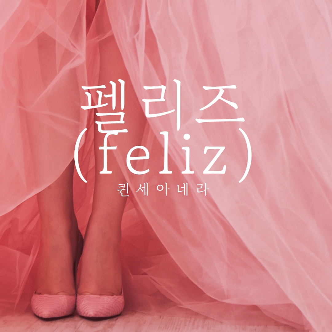 퀸시네라 색 pink modern-simple