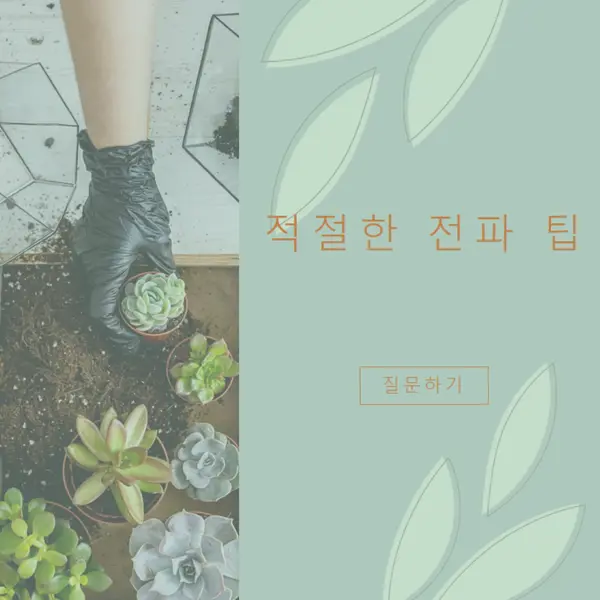단순히 육즙이 많은 green organic-simple