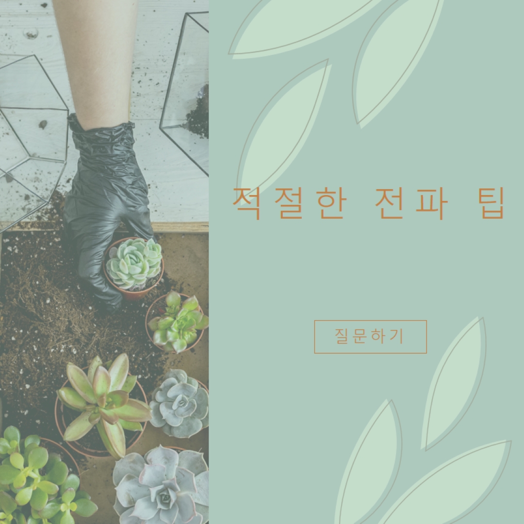 단순히 육즙이 많은 green organic-simple