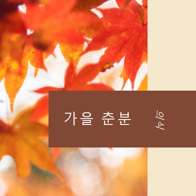 가을 춘분 orange modern-simple