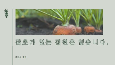 깊은 뿌리 green modern-simple