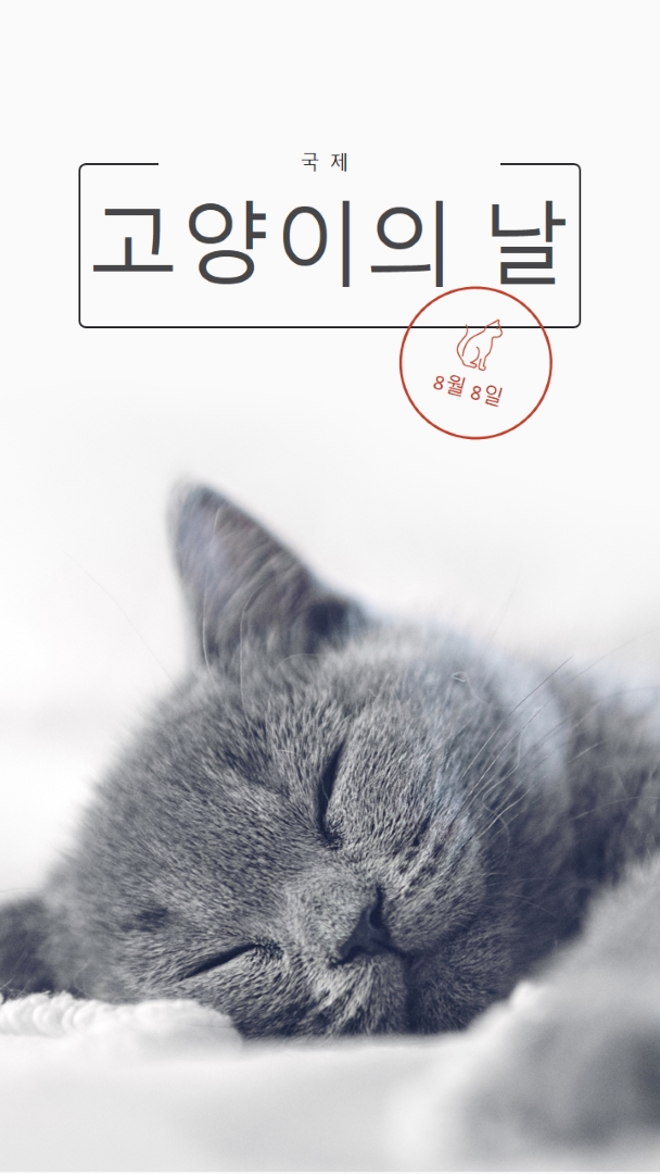 고양이 낮잠 gray modern-simple