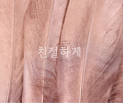 친숙한 패브릭 pink modern-simple