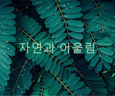 자연과 어울립니다. green modern-simple