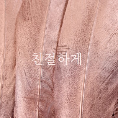 친숙한 패브릭 pink modern-simple