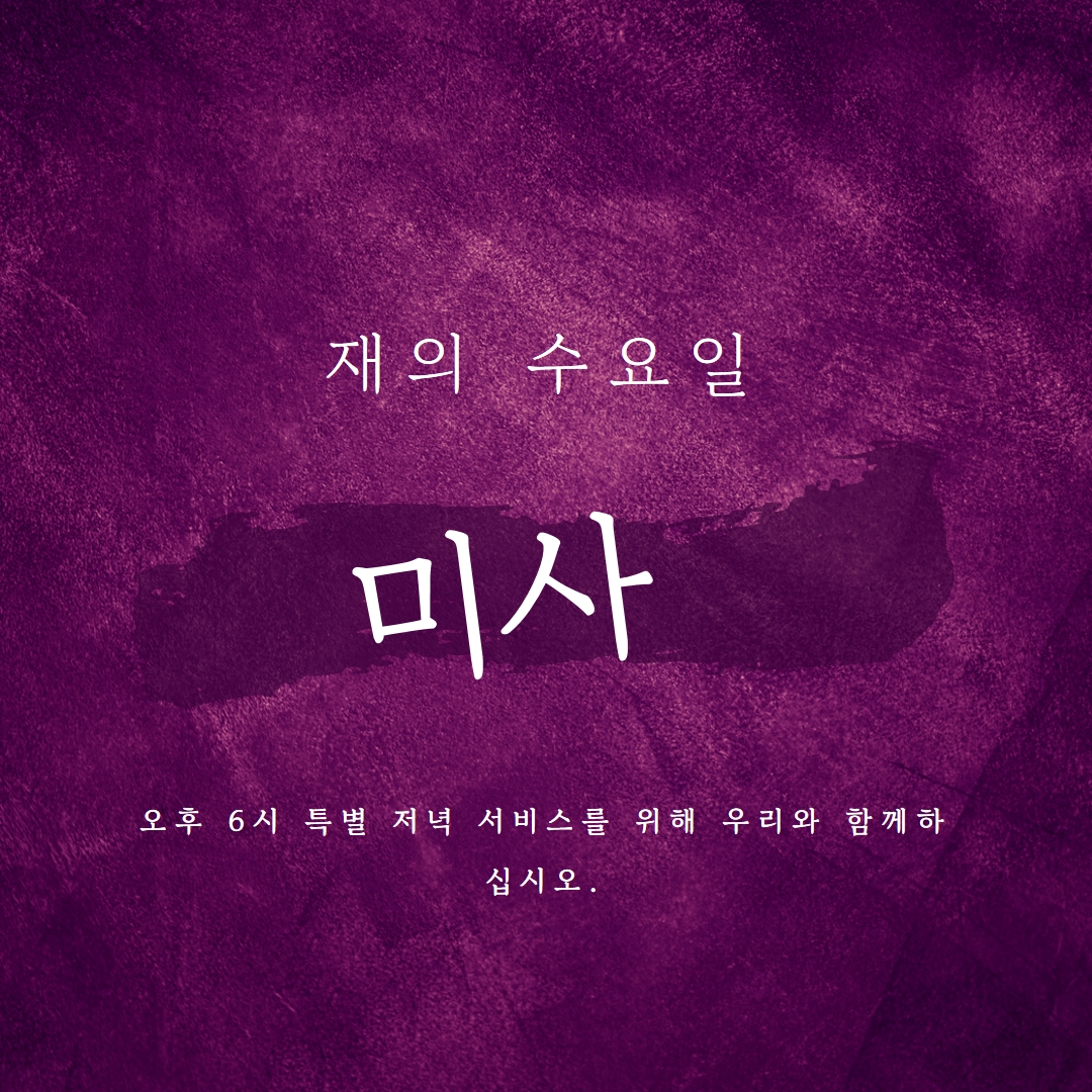 재 수요일 미사 purple modern-simple