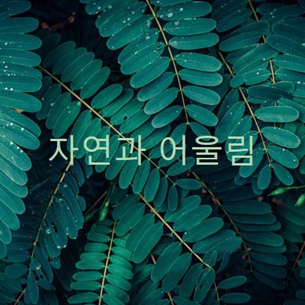 자연과 어울립니다. green modern-simple