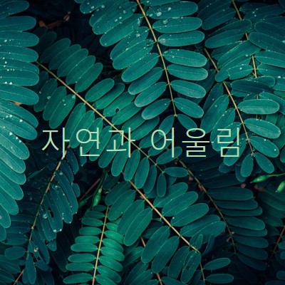 자연과 어울립니다. green modern-simple