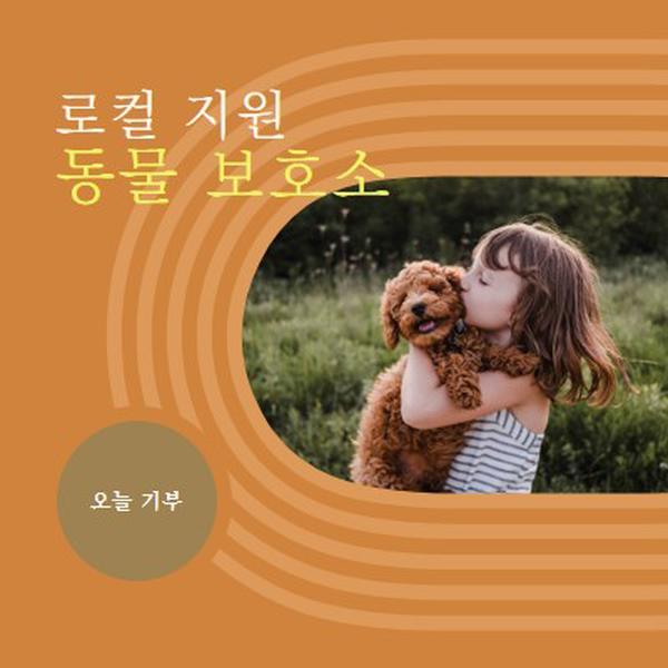 대피소 도우미 orange whimsical-color-block