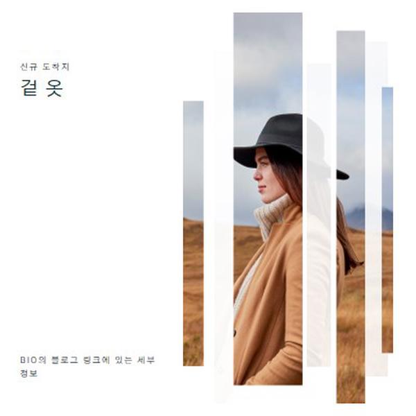 가을의 매력 white modern-simple