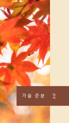 가을 춘분 orange modern-simple