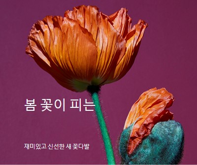 신선한 꽃 purple modern-simple