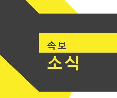 뉴스 플래시 yellow modern-bold