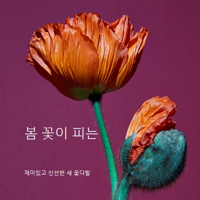 신선한 꽃 purple modern-simple