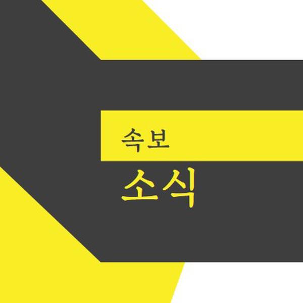 뉴스 플래시 yellow modern-bold