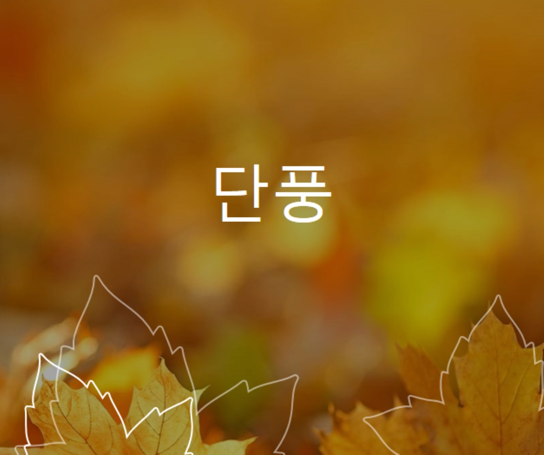 단풍 orange organic-simple