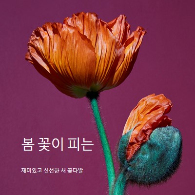 신선한 꽃 purple modern-simple