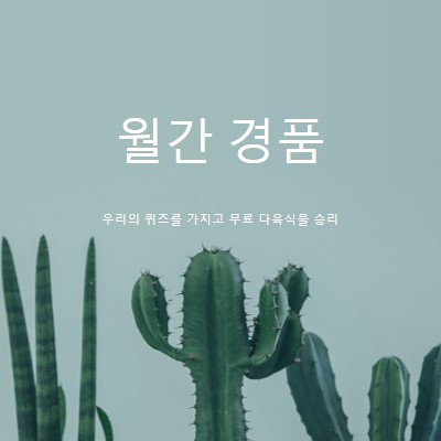 월간 경품 퀴즈 green modern-simple