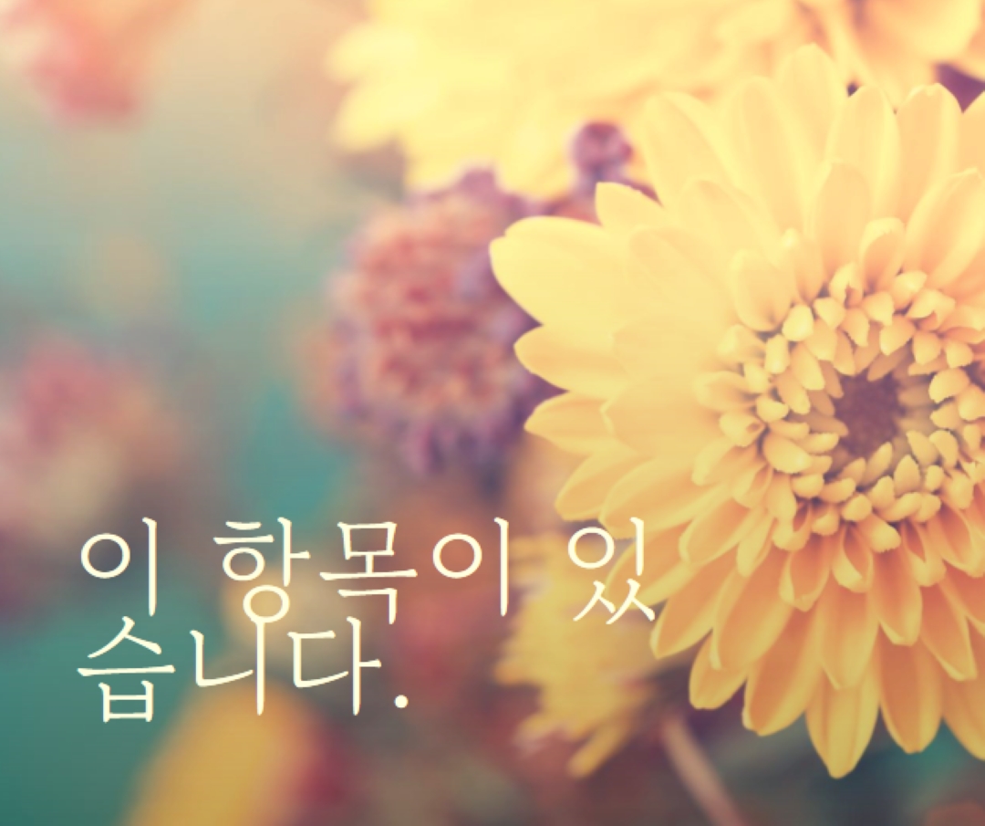 번영하는 꽃잎 yellow modern-simple