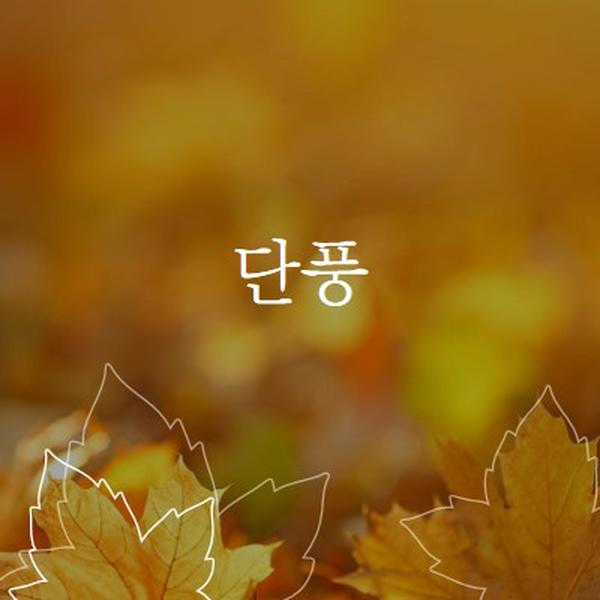 단풍 orange organic-simple