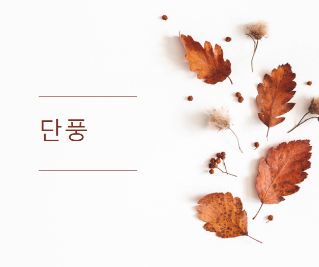 나뭇잎이 떨어졌습니다. white modern-simple