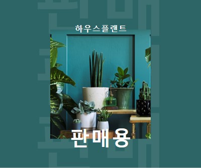 발전소 전력 green modern-bold