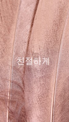 친숙한 패브릭 pink modern-simple