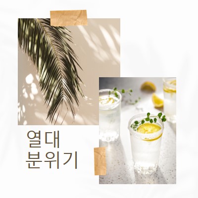 열대 칵테일 분위기 white photographic,collage,minimal,scrapbook,handwriting,botanical,