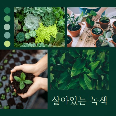 녹색 엄지 손가락 생활 green photographic,simple,collage,palette,handwriting,graphic