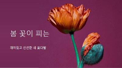 신선한 꽃 purple modern-simple