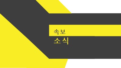 뉴스 플래시 yellow modern-bold