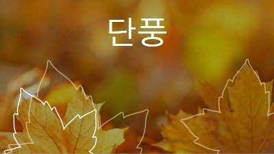 단풍 orange organic-simple