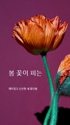 신선한 꽃 purple modern-simple