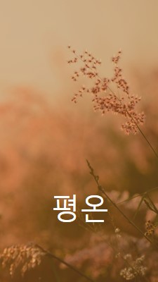 평온의 필드 brown modern,minimal,nature,quiet,soft,plants