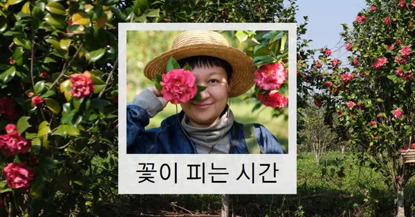 꽃이 피는 시간 green simple,photo,collage