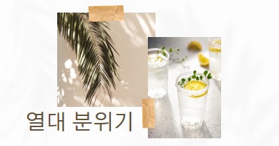 열대 칵테일 분위기 white photographic,collage,minimal,scrapbook,handwriting,botanical,