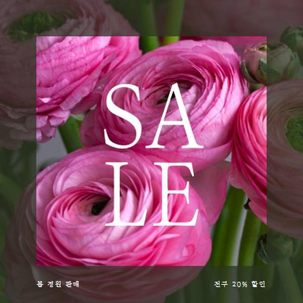 봄 정원 pink modern-simple