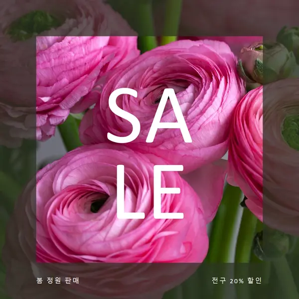 봄 정원 pink modern-simple