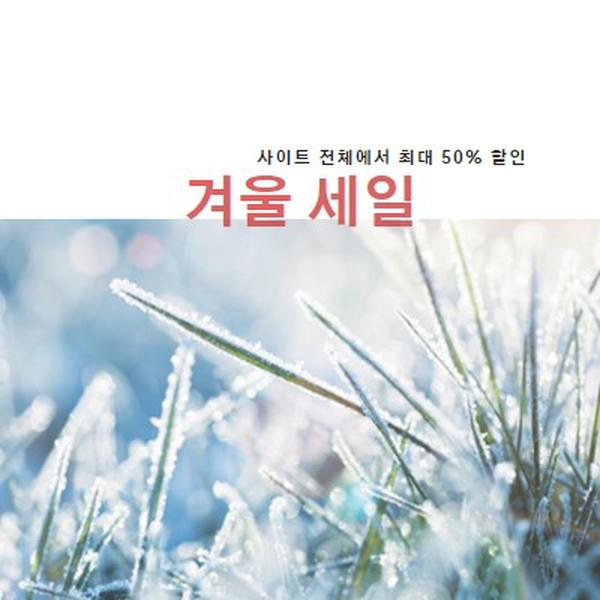 겨울 아침 white modern-simple