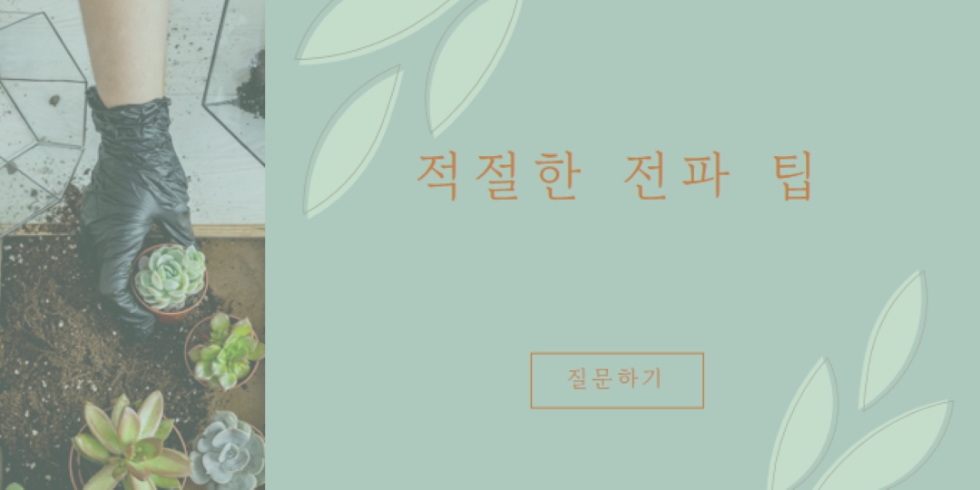 단순히 육즙이 많은 green organic-simple