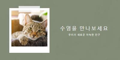 새로운 고양이를 만나보세요 green modern-simple