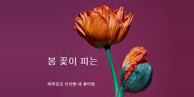 신선한 꽃 purple modern-simple