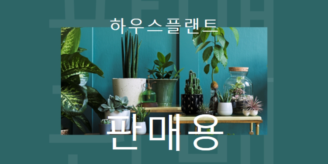 발전소 전력 green modern-bold