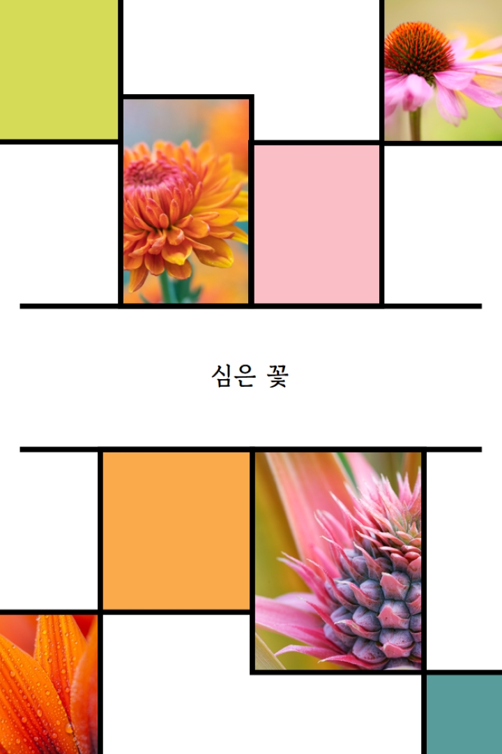 심은 꽃 white modern-geo-&-linear