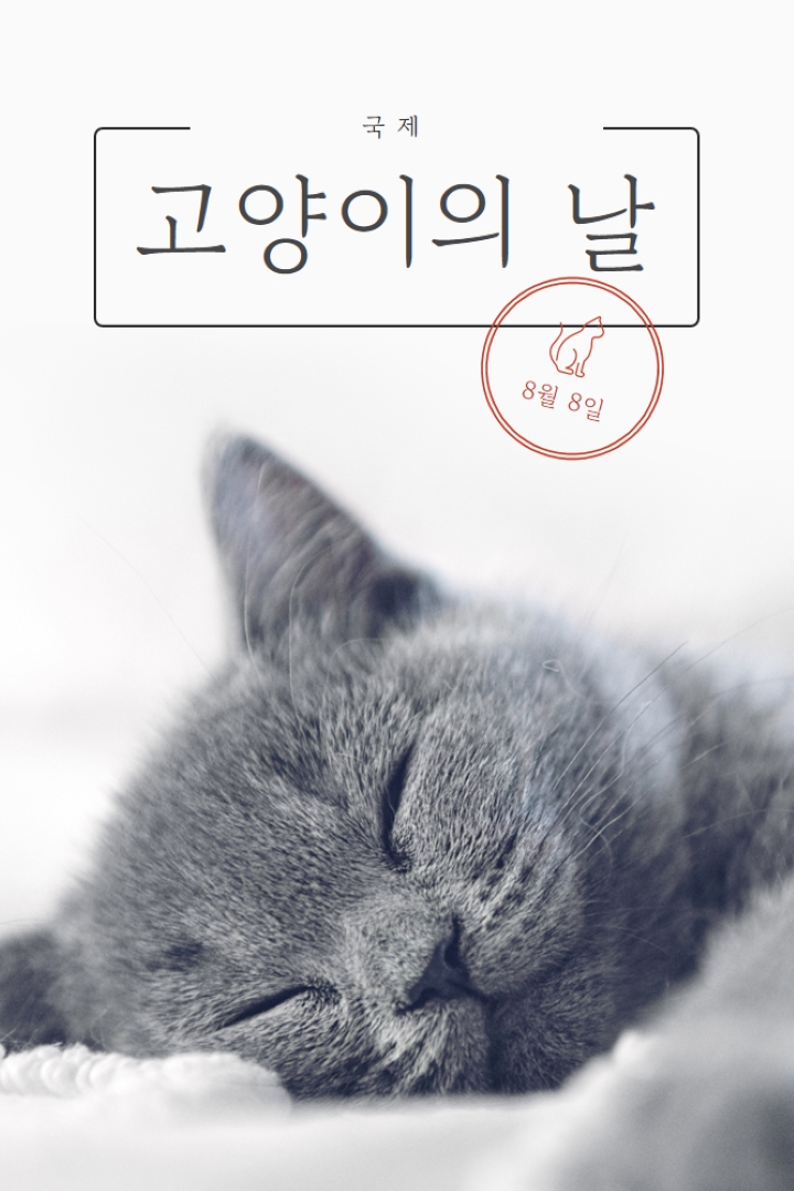 고양이 낮잠 gray modern-simple