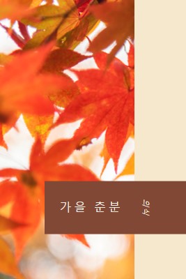 가을 춘분 orange modern-simple