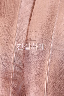 친숙한 패브릭 pink modern-simple