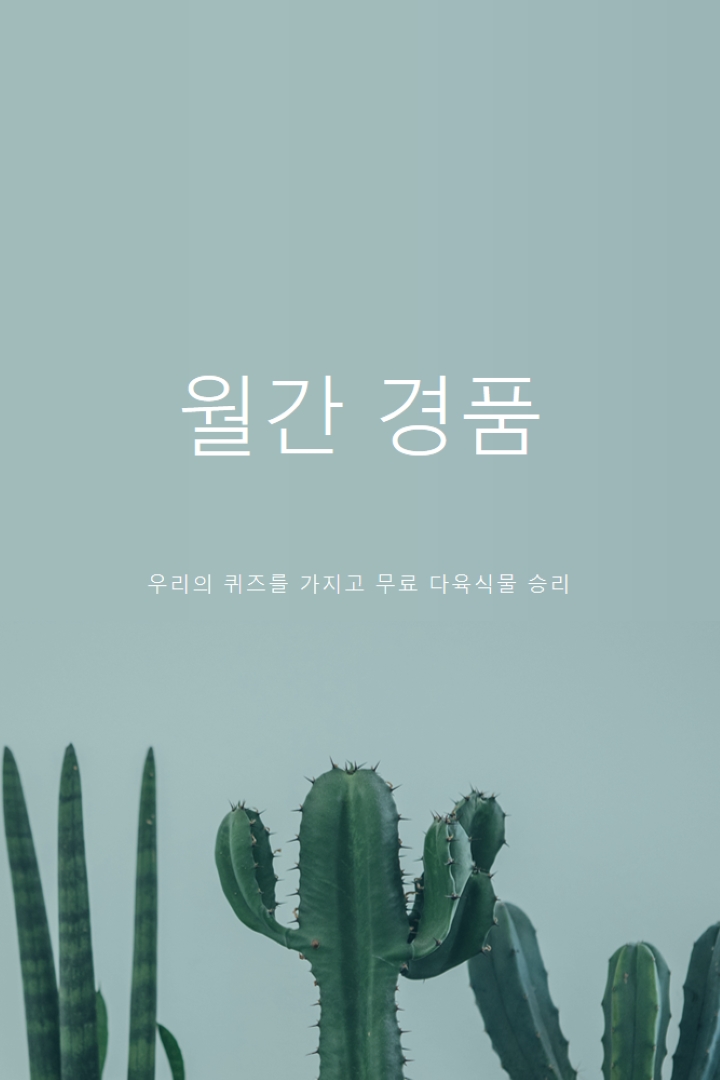 월간 경품 퀴즈 green modern-simple