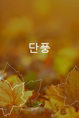 단풍 orange organic-simple